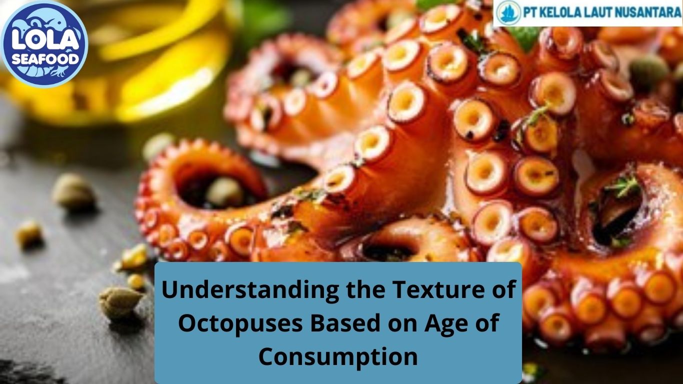 Understanding the Texture of Octopuses Based on Age of Consumption